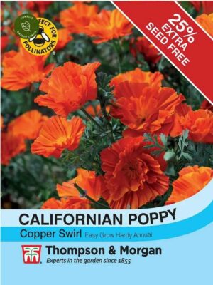 Thompson & Morgan Californian Poppy Copper Swirl Seeds