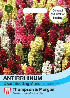 Thompson & Morgan Antirrhinum Dwarf Bed Mixed Seeds