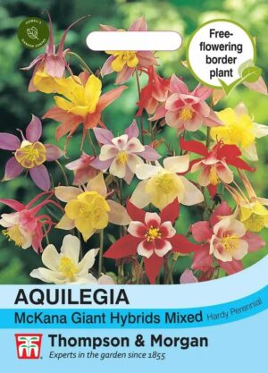 Thompson & Morgan Aquilegia Mckana Giant Hybrids Seeds