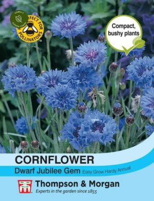 Thompson & Morgan Cornflower Dwarf Jubilee Gem Seeds