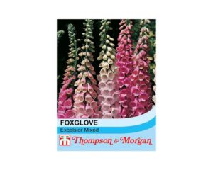 Thompson & Morgan Foxglove Excelsior Hybrids Seeds