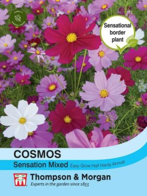 Thompson & Morgan Cosmos Sensation Mixed Seeds
