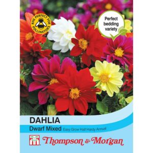 Thompson & Morgan Dahlia Dwarf Mixed Seeds