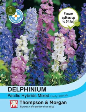 Delphinium Pacific Hybrids Mix