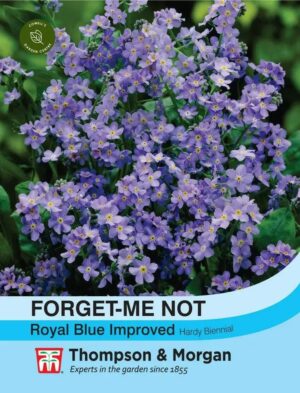 Thompson & Morgan Forget-me-not Royal Blue Seeds