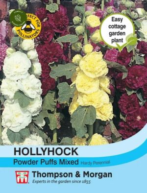 Thompson & Morgan Hollyhock Powder Puffs Mixed Seeds