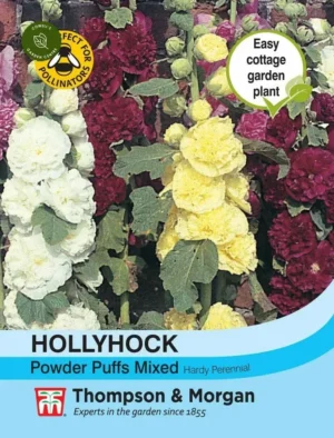 Thompson & Morgan Hollyhock Powder Puffs Mixed Seeds