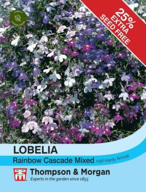 Thompson & Morgan Lovelia Trailing Rainbow Cascade Seeds