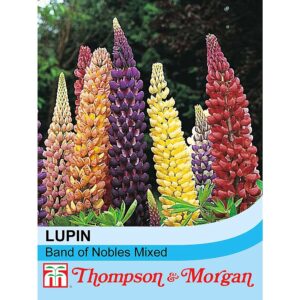 Thompson & Morgan Lupin Band of Nobles Mixed Seeds