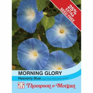 Thompson & Morgan Morning Glory Heavenly Blue Seeds