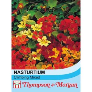 Thompson & Morgan Nasturtium Climbing Mixed Seeds