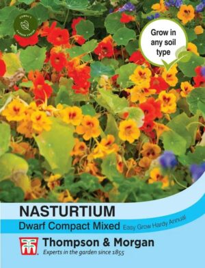 Thompson & Morgan Nasturtium Dwarf Compact Mixed Seeds