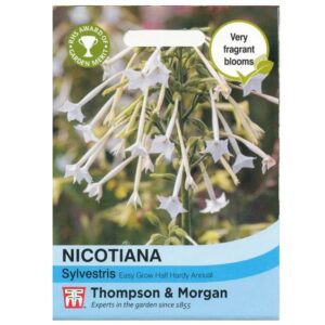 Thompson & Morgan Nicotiana Sylvestris Seeds