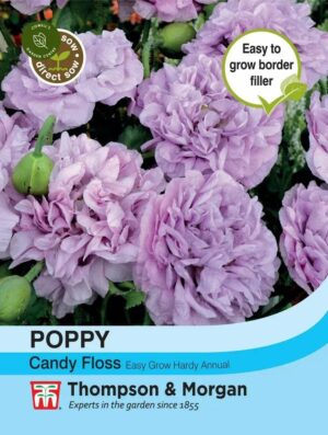 Thompson & Morgan Poppy Candy Floss Seeds