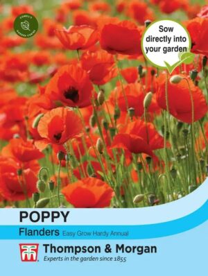 Thompson & Morgan Poppy Flanders Seeds
