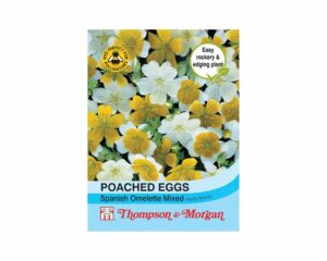 Thompson & Morgan Poached Eggs (Limanthes) Seeds