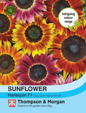 Thompson & Morgan Sunflower Harlequin Mix Seeds