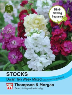 Thompson & Morgan Stock Dwarf Ten Week Mixed Seeds
