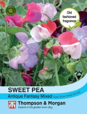 Thompson & Morgan Sweet Pea Antique Fantasy Mix Seeds