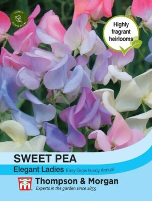 Thompson & Morgan Sweet Pea Elegant Ladies Seeds