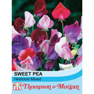 Thompson & Morgan Sweet Pea Heirloom Mixed Seeds
