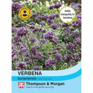 Thompson & Morgan Verbena Bonariensis Seeds
