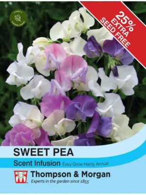 Thompson & Morgan Sweet Pea Scent Infusion Seeds