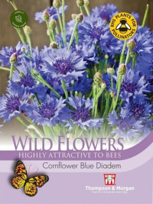 Thompson & Morgan Wild Flower Cornflower Blue Diadem Seeds