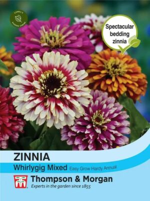 Thompson & Morgan Zinnia Whirlygig Mixed Seeds