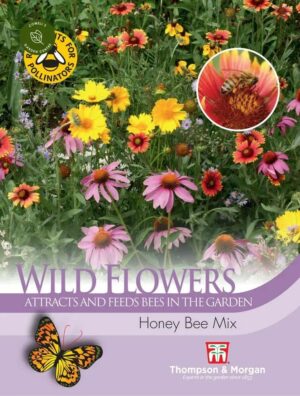 Thompson & Morgan Wild Flower Honey Bee Mixed Seeds