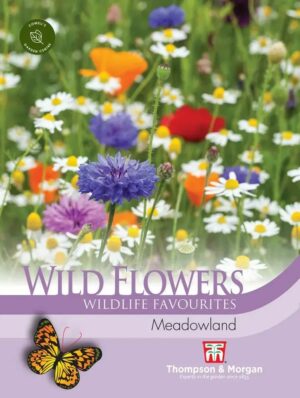Thompson & Morgan Wild Flower Meadowland Seeds