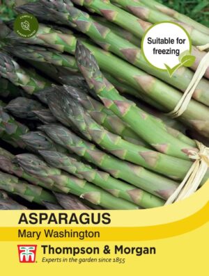 Thompson & Morgan Asparagus Martha Washington Seeds