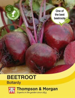 Thompson & Morgan Beetroot Boltardy Seeds