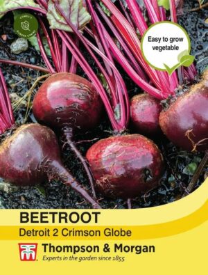 Thompson & Morgan Beetroot Detroit 2 Crimson Globe Seeds
