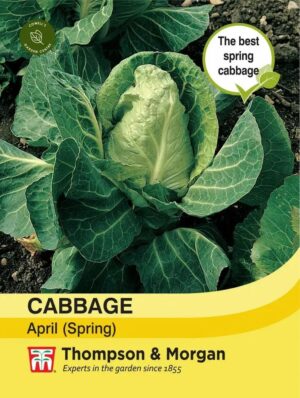 Thompson & Morgan Cabbage April (Spring) Seeds