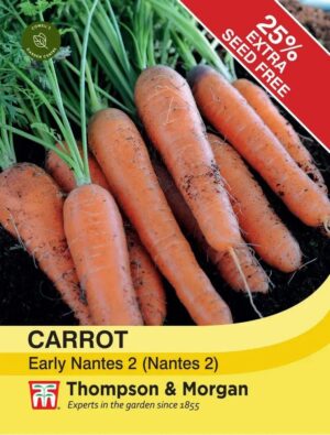 Thompson & Morgan Carrot Fly Away Hybrid Seeds