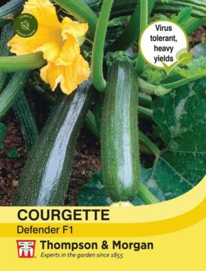 Thompson & Morgan Courgette Defender Seeds