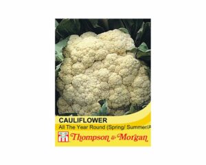 Thompson & Morgan Cauliflower All Year Rounder Seeds