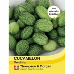 Thompson & Morgan Cucamelon Melothria Seeds