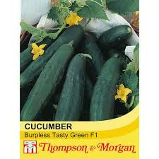 Thompson & Morgan Cucumber Burpless Tasty Greens