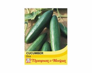 Thompson & Morgan Cucumber Diva Seeds