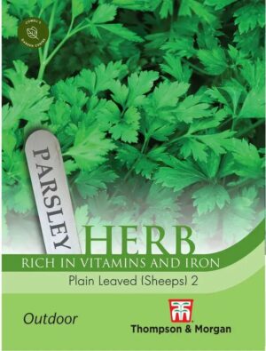 Thompson & Morgan Plain Leaved Parsley French Seeds