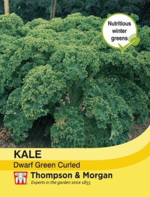 Thompson & Morgan Kale Dwarf Green Curled Seeds