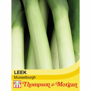 Thompson & Morgan Leek Musselburgh Seeds