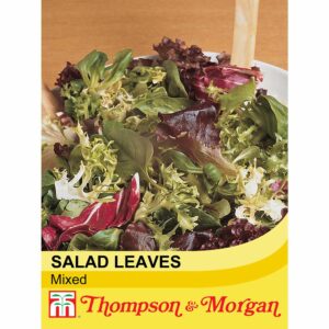 Thompson & Morgan Lettuce Salad Leaves Mixed Seeds