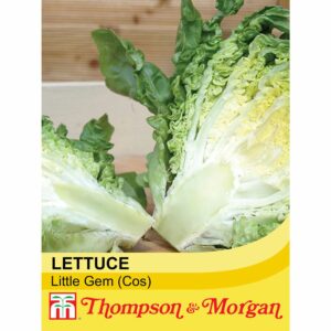 Thompson & Morgan Lettuce Little Gem Seeds