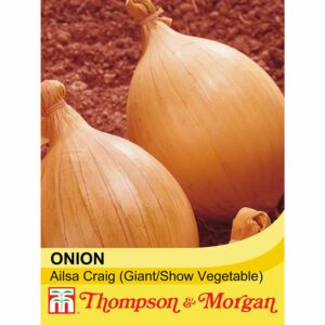 Thompson & Morgan Onion Ailsa Craig Seeds