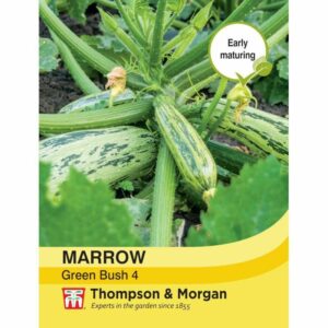 Thompson & Morgan Marrow Green Bush Seeds