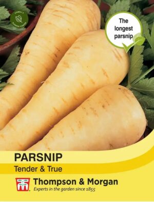 Thompson & Morgan Parsnip Tender & True Seeds