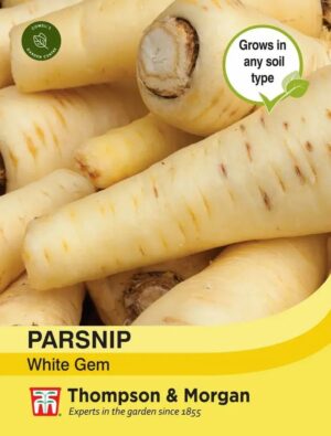 Thompson & Morgan Parsnip White Gem Seeds